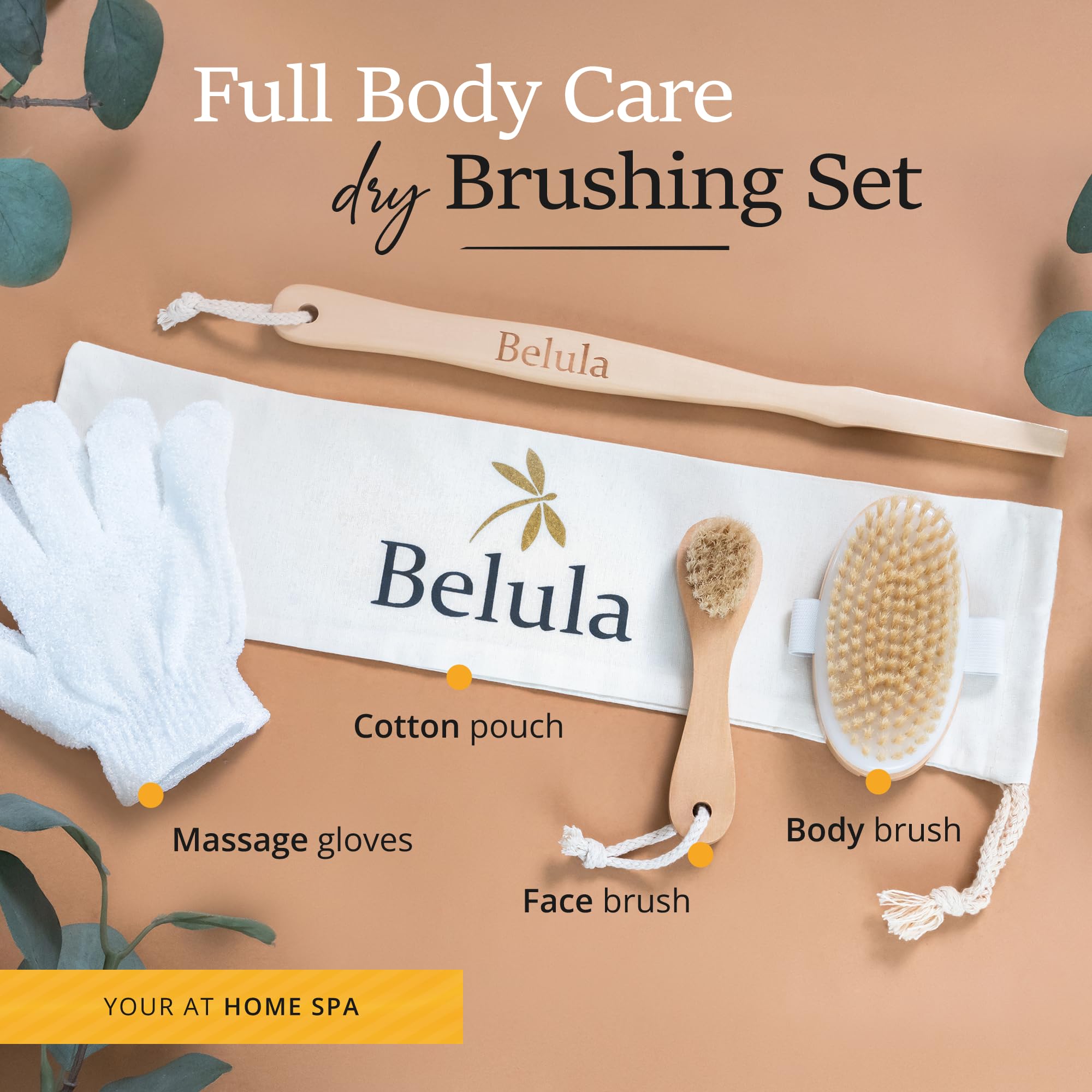 Belula Premium Dry Brushing Body Brush Set- Natural Boar Bristle Body Brush, Exfoliating Face Brush & One Pair Bath & Shower Gloves. Free Bag & How To – Great Gift For A Glowing Skin & Healthy Body