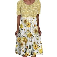 Women's Summer Dresses Ladies Dress Round Neck Short Sleeve Pleated Mid Dress Floral Print Casual Dress(B,Large)