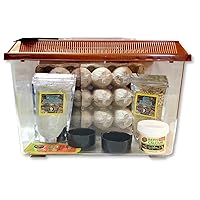 Jungle Bob Dubia Keeper Kit with 11x7x8 Escape-Proof Plastic Tank & Ventilated Lid, Bug Vittles, Thirst Quencher, Vitamins, Egg Crate, & Feeding Dish