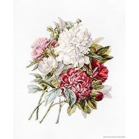 Lucas-S The Peonies Counted Cross-Stitch Kit