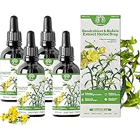 Clearbreath Dendrobium & Mullein Extract, Organic Mullein Leaf Liquid Extract, Mullein Blend Drops, Mullein Drops for Lungs, Mullein Leaf Tincture Extract for Herbal Respiratory Relief(4PC)