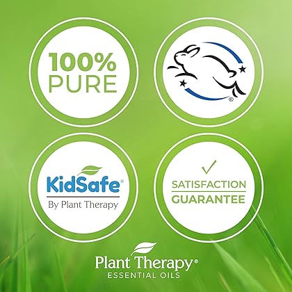 Plant Therapy KidSafe Essentials Roll-On Set 100% Pure, Therapeutic Grade Essential Oils Diluted in Coconut Oil 10 mL (1/3 oz) Each