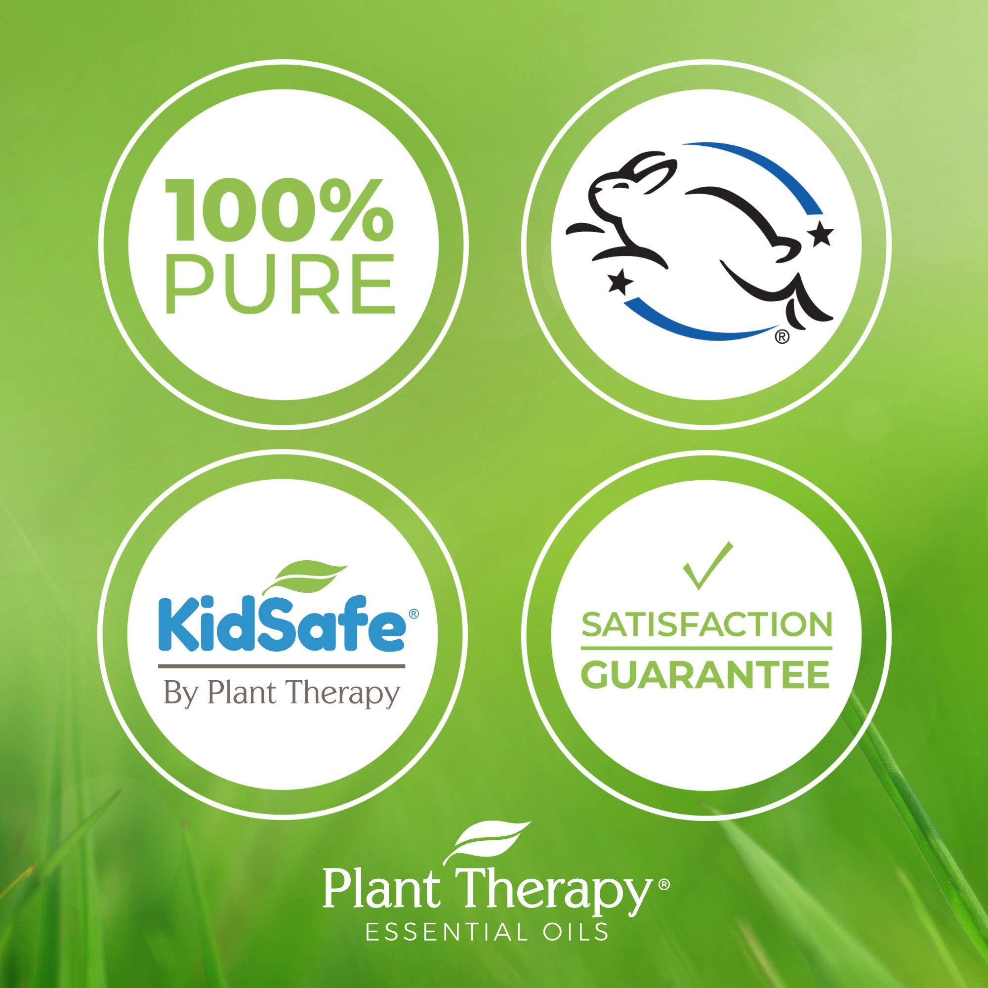 Plant Therapy KidSafe Study Time Essential Oil Blend for Focus, Mind Calming, Concentration Blend for Kids 100% Pure, Pre-Diluted Roll-On, Natural Aromatherapy, Therapeutic Grade 10 mL (1/3 oz)