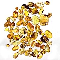 1000Ct Genuine Insect Inclusion Yellow BURMITE Amber Mix CABOCHON Gemstone LOT