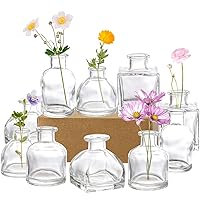 Hedume Set of 10 Small Glass Flower Vases, Clear Glass Bud Vases, Decorative Rustic Floral Vases, Mini Table Floral Vase for Home Decor Centerpieces, Events, Vintage Look