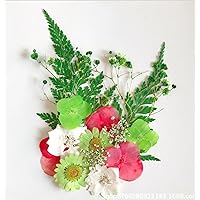 Real Dried Flower Material Bag Handmade Plant Specimen Flower Painting Paste face Art Green hfhc-04