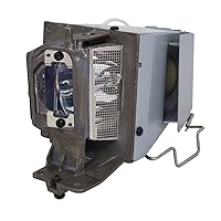 NEC NP40LP Replacement Lamp for NP-VE303 and NP-VE303X Projector