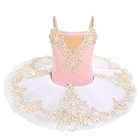 Girls Camisole Skirted Leotard Swan Lake Ballet Dance Outfit Embroidery Tutu Ballerina Princess Dress for Performance