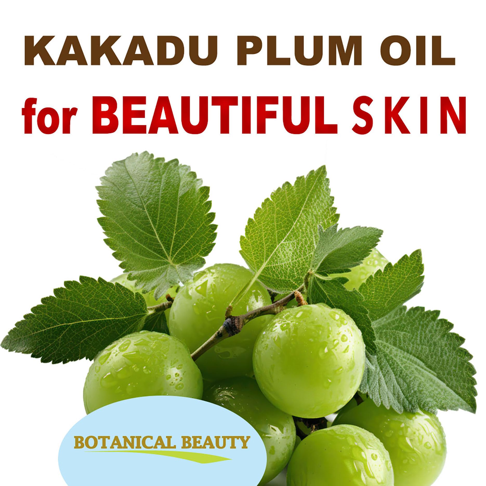 Botanical Beauty Australian KAKADU PLUM OIL 100% Pure Natural Virgin Unrefined Cold-pressed carrier oil 2 Fl oz 60 ml For Face, Skin, Body, Hair, Lip, Nails. Rich in vitamin C