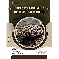 Caraway Plant, Seedy Spice And Tasty Roots: Guide and overview
