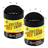 Fruit Fly Traps for Indoors, Gnat Killer with Plant Based Bait, Fruit Fly Killer for House, Reusable Gnat Trap & Safe Fly Catcher for Plant House Kitchen 2 Pack