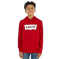 Levi's® Boy's Batwing Pullover Hoodie (Little Kids)