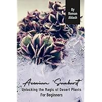 Aeonium 'Sunburst': Unlocking the Magic of Desert Plants, For Beginners