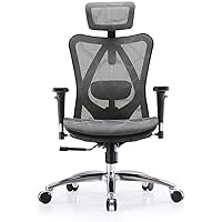 SIHOO Ergonomic Mesh Office Chair, Computer Desk Chair with 3-Way Armrests, 2-Way Lumbar Support and Adjustable Headrest, High Back Home Office Chair with Tilt Function, Mesh Back and Seat(Grey)