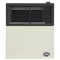 Ashley Hearth DVAG11N 11,000 BTU Direct Vent Natural Gas Heater, Cream