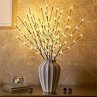 EAMBRITE 6PK Lighted Branches Brown Twig Stake with 120LED Warm White Lights, 30
