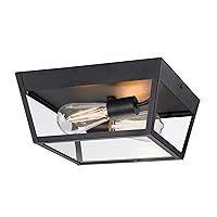Westinghouse Lighting 6121900 Peterson Transitional Two Light Flush Ceiling Fixture, Textured Black Finish, Clear Glass