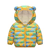 Fall Jackets for Boys Girls Bear Hooded Coat Print Outerwear Jacket Cartoon Boys Baby Winter Ear Boys (Green, 3-4 Years)