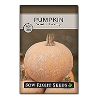 Sow Right Seeds - Winter Luxury Pumpkin Seeds for Planting - Non-GMO Heirloom Packet with Instructions to Plant & Grow an Outdoor Home Vegetable Garden - Sparkly Frosted Skin, Delicious for Baking (1)