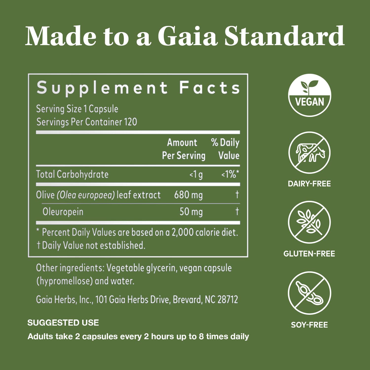 Gaia Herbs Olive Leaf - Traditional Immune Health Support - Immune System Supplement with Olive Leaf Extract and Oleuropein - 60 Vegan Liquid Phyto-Caps
