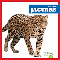 Jaguars (Bullfrog Books: Big Cats)