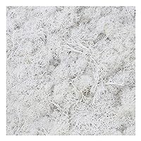1.41oz Artificial Moss, Fake Moss Preserved Decorative Moss Faux Moss for DIY Crafts Potted Plants Terrariums Wall Fairy Gardens Home Wedding Decoration,White