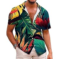 Men's Printing Shirts Loose Fit Button Short Sleeve Lapel Blouse Shirt Fashion Casual Tunic Tops Summer Beach Clothes