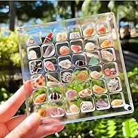 Acrylic Magnetic Seashell Display Box, 36 Grids Small Seashells Display Case Storage Boxes, Clear Organizer Holder Decorative Sea Shell Mini DIY Craft Collection Container