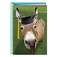 Hallmark Shoebox Funny Graduation Card (Smart Donkey)