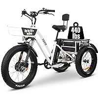 Three-Wheel Electric Bicycle, 40-Mile Long Distance Adult Tricycle, Foldable Tricycle, 750W Motor