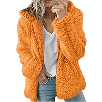 Women's Fur Jackets Fashion Solid Color Jacket Long Sleeve Zipper Hooded Plush Coat Fluffy Jackets, S-2XL