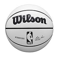 WILSON NBA Alliance Series Basketballs - Size 7 and Mini Size