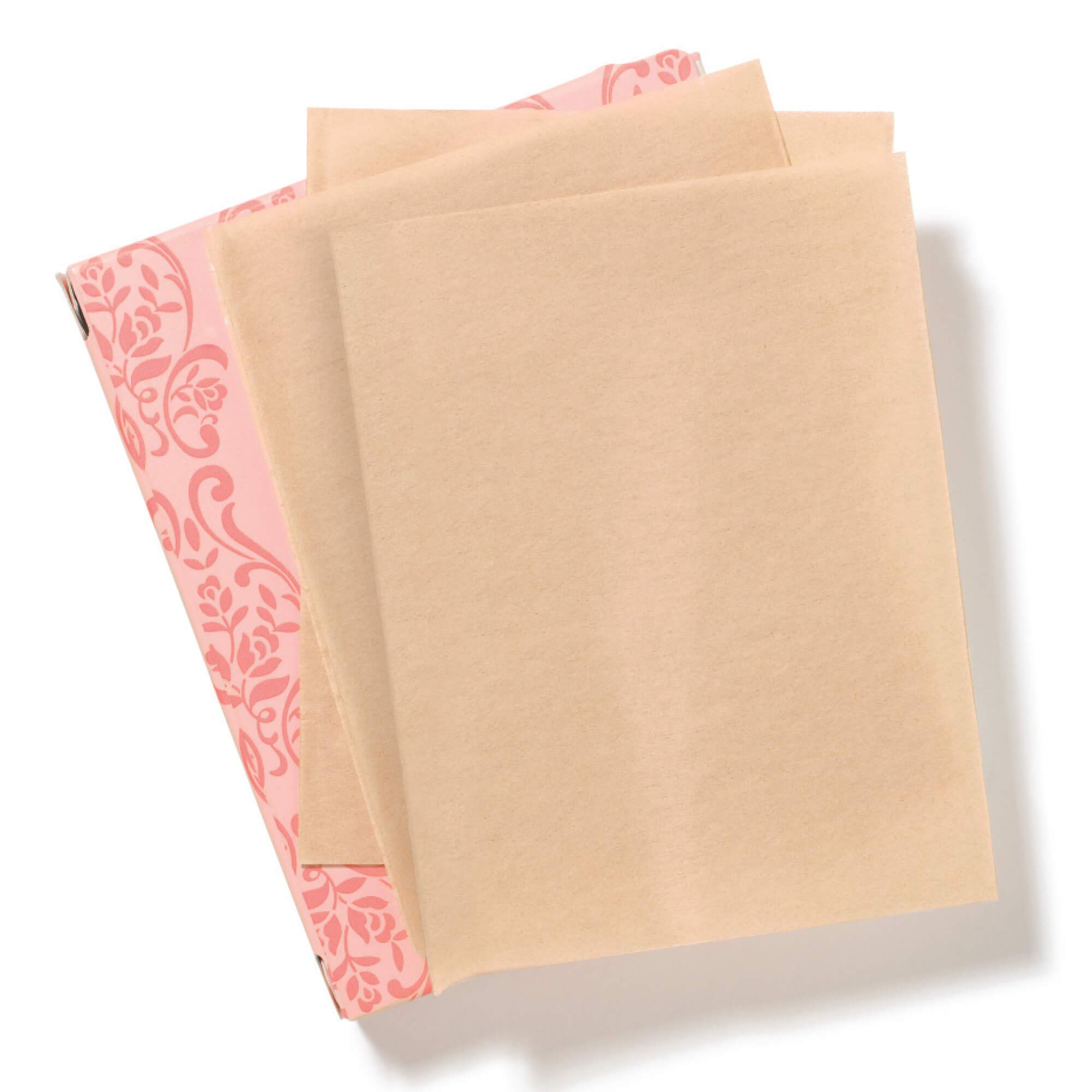 DHC Blotting Paper 100 Count (Pack of 3)