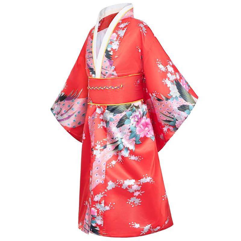 The Difference between Hanfu Kimono and Hanbok - Newhanfu