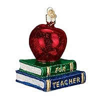 Old World Christmas Teacher Gifts Glass Blown Ornaments for Christmas Tree Apple