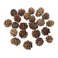 20 Pcs Natural Pine Cones Mini Pinecones Thanksgiving Christmas Pine Cone Ornaments for DIY Crafting, Flower Arrangement, Fall Garland Making, Home Holiday Decor