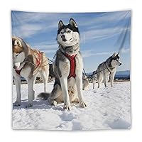 JQXEN Husky, Dog, (9) Tapestry、Wall Tapestry Art for Home Decorations Dorm Decor Living Room Tapestry,Decor Wall Cloth Lovely Home Bedroom Decorative HD Print Tapestry60 x60