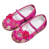 Girls Encanto Costume Shoes Mirabel Isabela Madrigal Floral Embroidery Mary Jane Flats Shoe Halloween Princess Dress Shoes