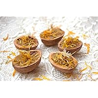 Floating Candle Floral Fall Wedding Favor Tea Light Walnut Shell Calendula 5 pcs Pure Beeswax Aromatherapy Rustic Eco Scented Herbal Party Favor Lighting
