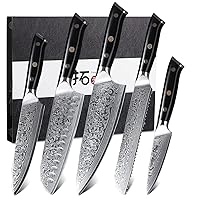 Professinal Damascus steel VG10 Core Kithen Chef Knife Set (Gentleness Raindrop Patter 5 PC)