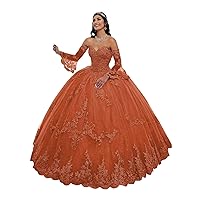 Off The Shoulder Puffy Quinceanera Party Dresses Tulle Sweet 16 Dresses Princess Formal Ball Gown