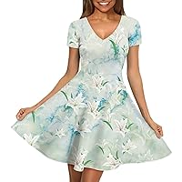 Womens Casual Dresses Short Sleeve Women's Dresses V-Neck A-Line Novelty Dresses for Party Work Club Travel