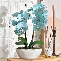 Large Artificial Potted Orchid Plant, Silk Flower Arrangement with Ceramics Vase, Golden Blue