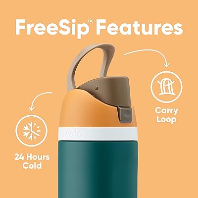 Owala FreeSip Insulated Stainless Steel Water Bottle with Straw for Sports  and Travel, BPA-Free, 24-Ounce, Hint of Grape