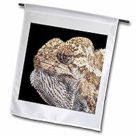 3dRose Chameleon With Sinister Facial Expression Vector Art - Flags (fl_357102_1)
