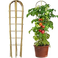 5 Pack 4 Feet U-Shape Bamboo Trellis, Natural Bamboo Trellis for Climbing Plants, Vegetables, Cucumber, Tomato, Outdoor and Indoor Potted Plants