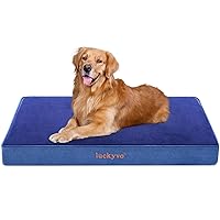 Extra Large Dog Bed for Extra Large Dogs, Orthopedic Dog Bed with Washable Removable Cover,Waterproof Dog Bed for Crate, Memory Foam Dog/Pet Bed(41x29x3 inch,Blue)