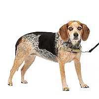 PetSafe Easy Walk No-Pull Dog Harness - The Ultimate Harness to Help Stop Pulling - Take Control & Teach Better Leash Manners - Helps Prevent Pets Pulling on Walks - Small/Medium, Fawn/Brown