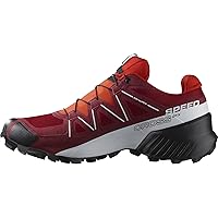 Salomon Men's Speedcross Gore-tex Hiking Shoe