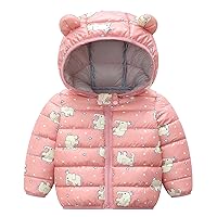Jacket for Girls Size 6 Winter Outerwear Hooded Girl Toddler Coat Jacket Warm Boy Windproof Girls Quilted Coat